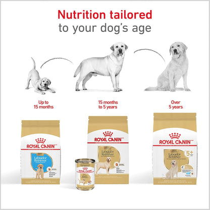 Royal Canin Breed Health Nutrition Labrador Retriever Puppy Dry Dog Food, 2.5 lb Bag