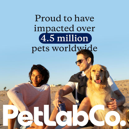 PetLab Co. Pumpkin Fiber for Dogs – Dog Probiotics Powder – High Fiber Supplement with Pumpkin, Apple, Psyllium & Mushrooms – Supports Digestion, Gut Health & Regular Bowel Movements – 30 Scoops