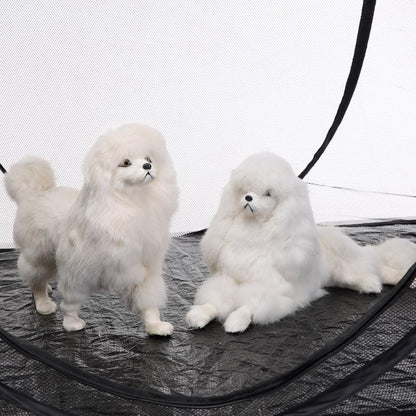 Portable Outdoor Cat Tunnel and Mesh Tent with Storage Bags, Playground for Cats to Play with Long Tunnel