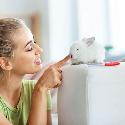 Patelai 2 Pieces Pet Hair Comb Small Pet Grooming Stainless Steel Long and Short Teeth Comb for Small Dog Cat Animals Rabbits Bunny Hamsters Guinea Pigs, Red and Yellow