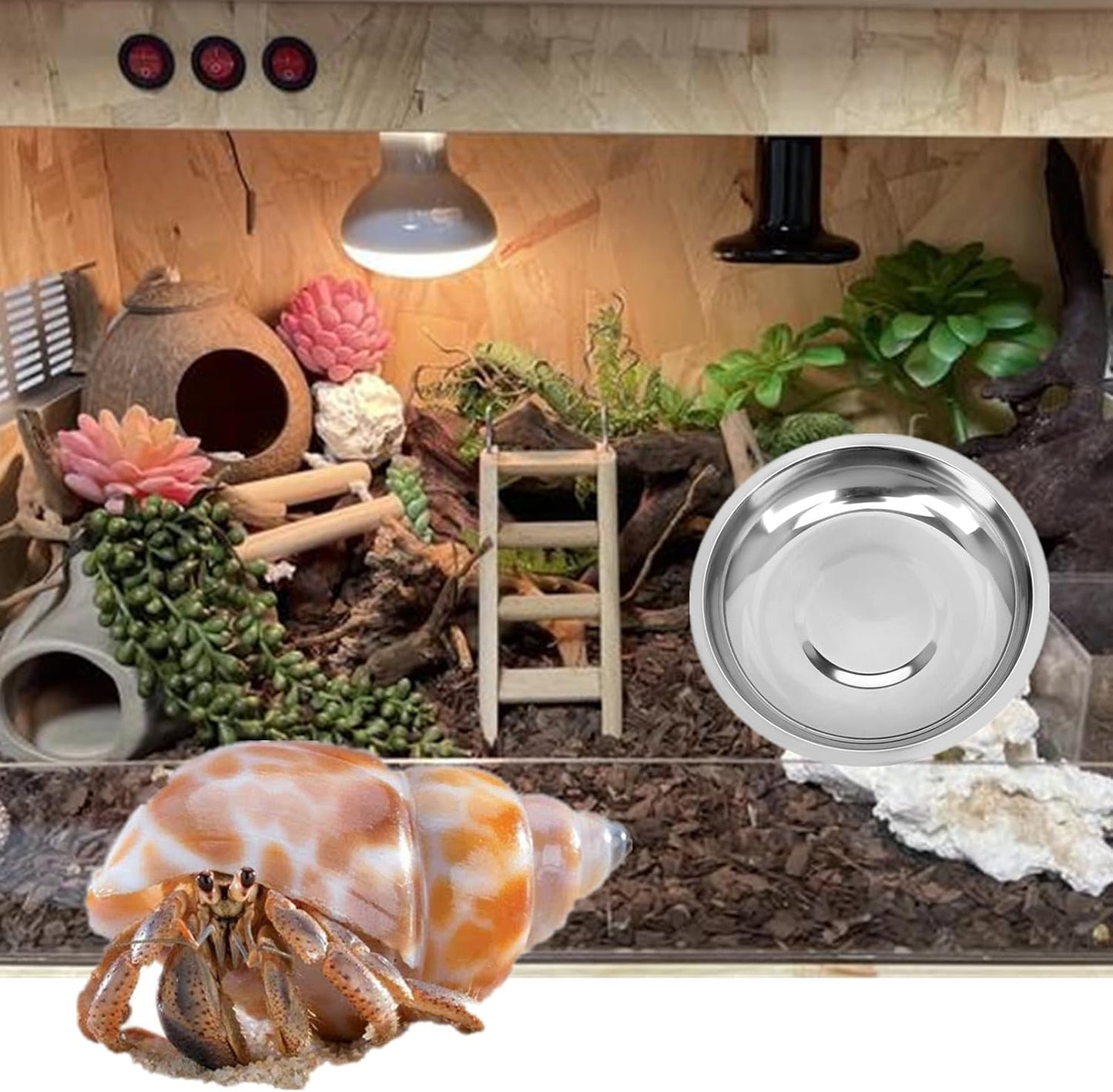 8 Pcs 2.5in Stainless Steel Hermit Crab Feeding Dishes - Food & Water Bowls for Snail, Gecko, Insect & Reptile Terrarium Use