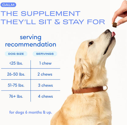 Native Pet Omega Oil for Dogs - Fish Oil Supplements & Calming Chews | Dogs Anxiety Relief Treats & Relaxants | 8 Oz. & 60 Chews