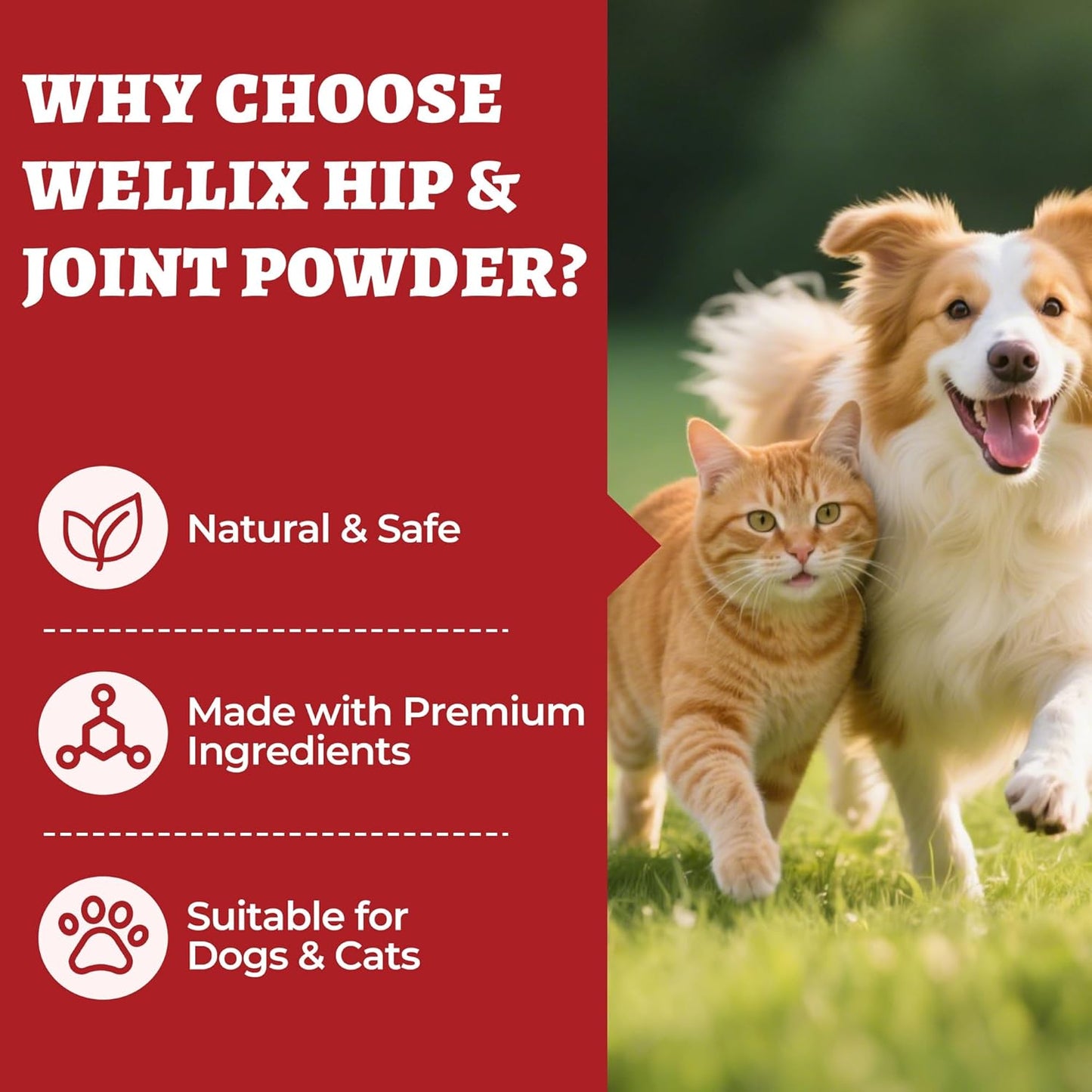 Wellix Large Hip & Joint Supplement for Dogs & Cats – Glucosamine Chondroitin MSM & Turmeric for Dogs – Dog Joint Health, Cat & Dog Arthritis Supplement, Chicken Chondroitin for Puppy & Kitten