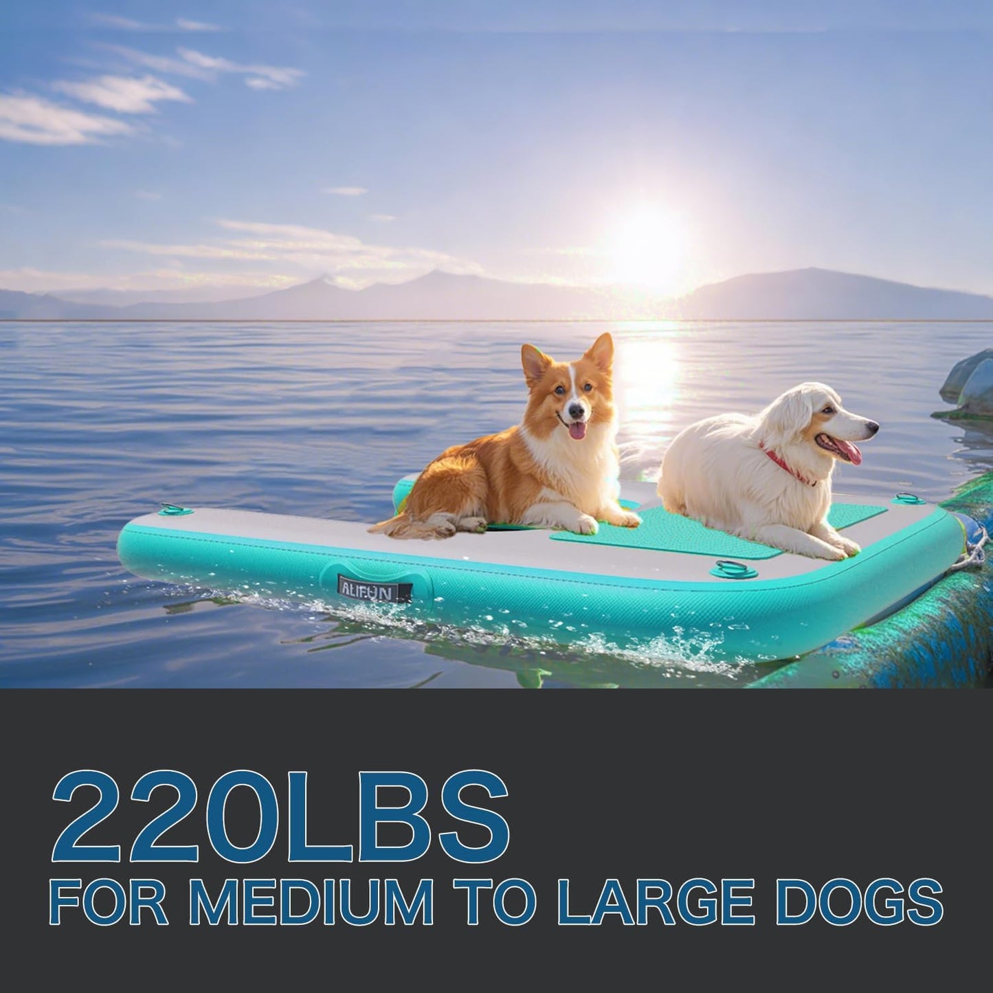 ALIFUN Inflatable Dog Water Ramp Safety Floating Dock Dog Pool Raft for Pool Lake Boat Non-Slip Floating Ladder for Pets Up to 220 LBs Bgreen 120CM Length