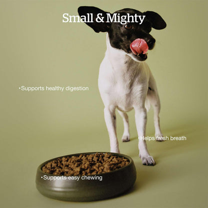 Now Fresh Good Gravy Premium Dry Dog Food with Chicken & Ancient Grains for Small Breeds, Healthy Kibble for Adults Coated in Bone Broth – Just Add Water to Moisten, Made with Real Meat, 12 lb Bag