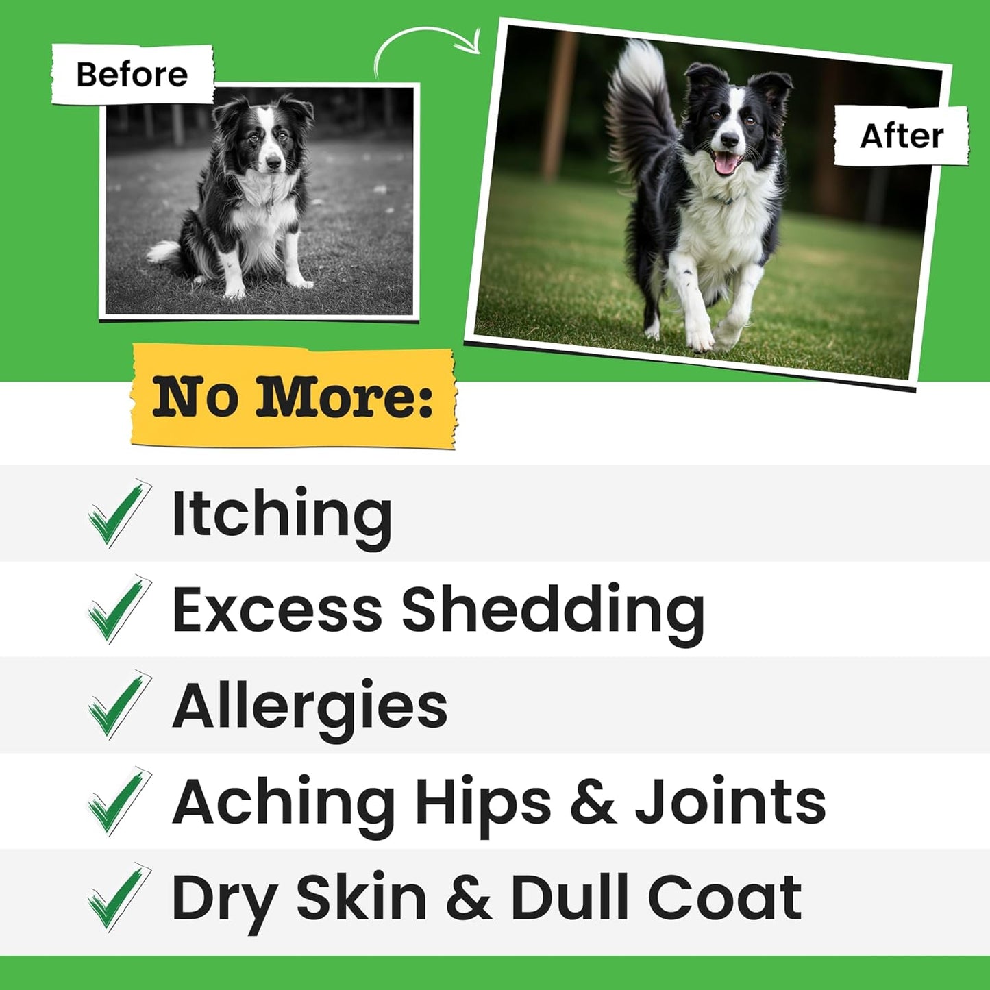 Omega 3 Fish Oil for Dogs & Cats - Made with Wild Alaskan Salmon Oil; Liquid Fish Oil Supplement for Pets with Omega 3 EPA+DHA Fatty Acids; Real Ingredients, Real Taste — Trusted by Vets!