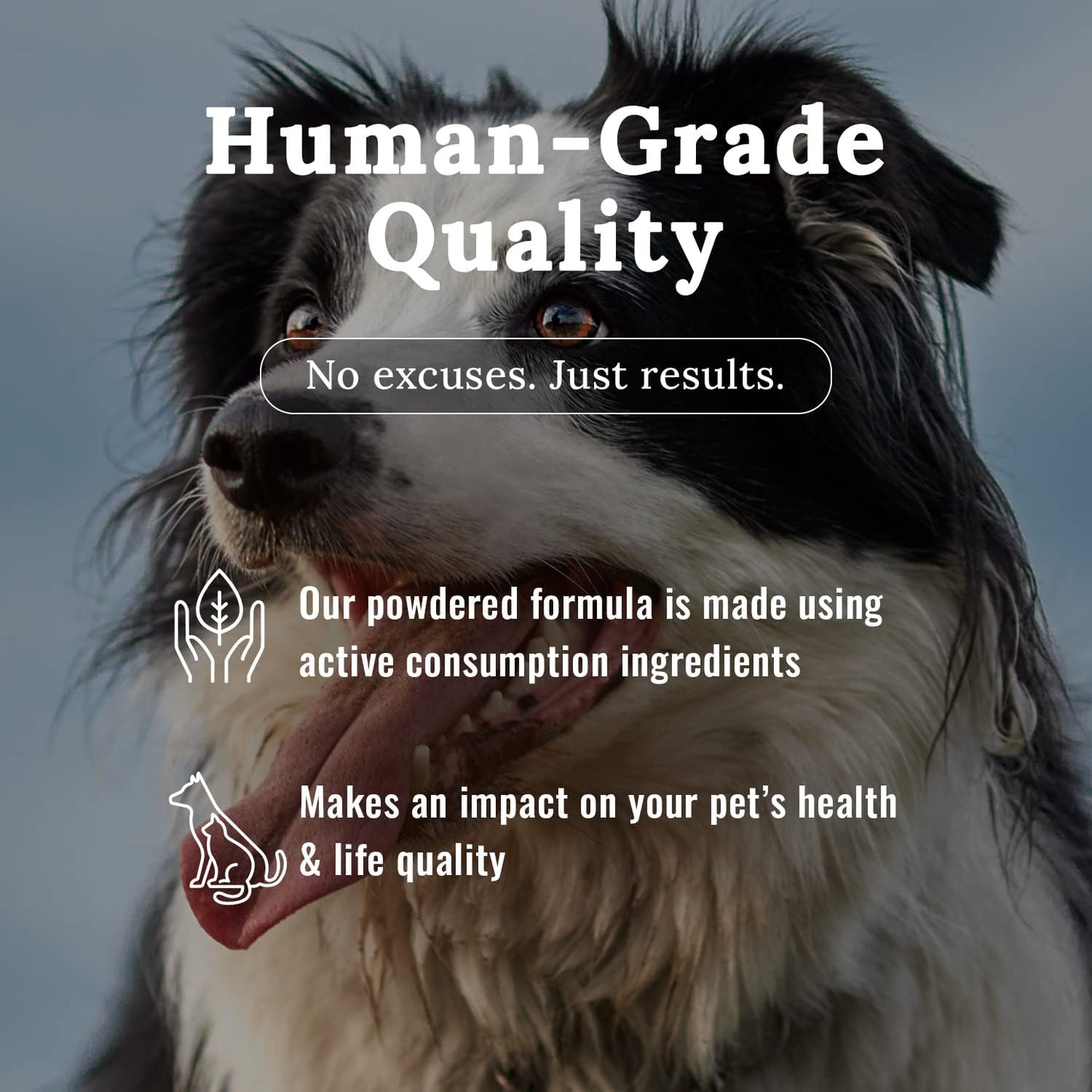 10# Mojo Horse Suppment with Food-Grade Mojo Dog and Cat Supplement