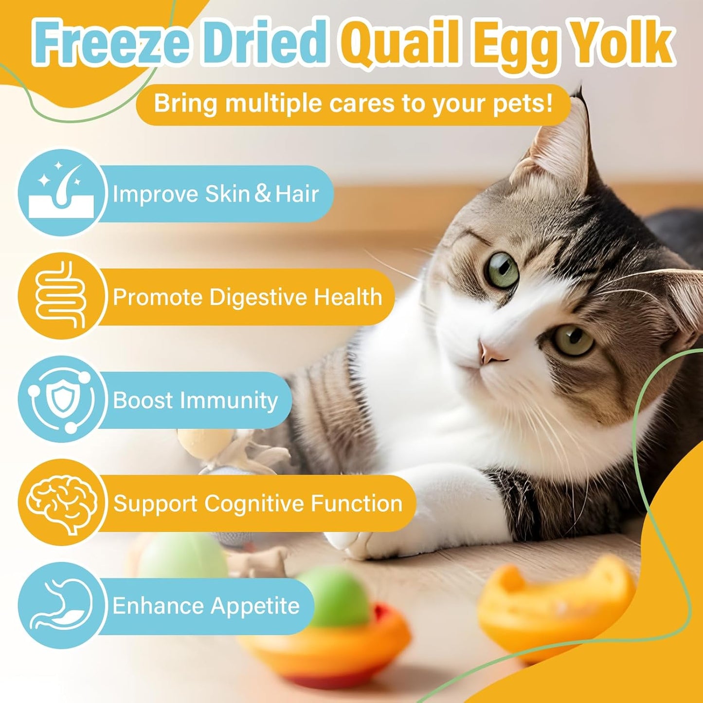SHANDR 10.6 OZ Freeze Dried Quail Egg Yolk Healthy Pet Treats Food for Dogs Cats Natural Single Ingredient Tasty Freeze Dried Quail Eggs Snack Training Human Grade Free of Grain Gluten Rawhide