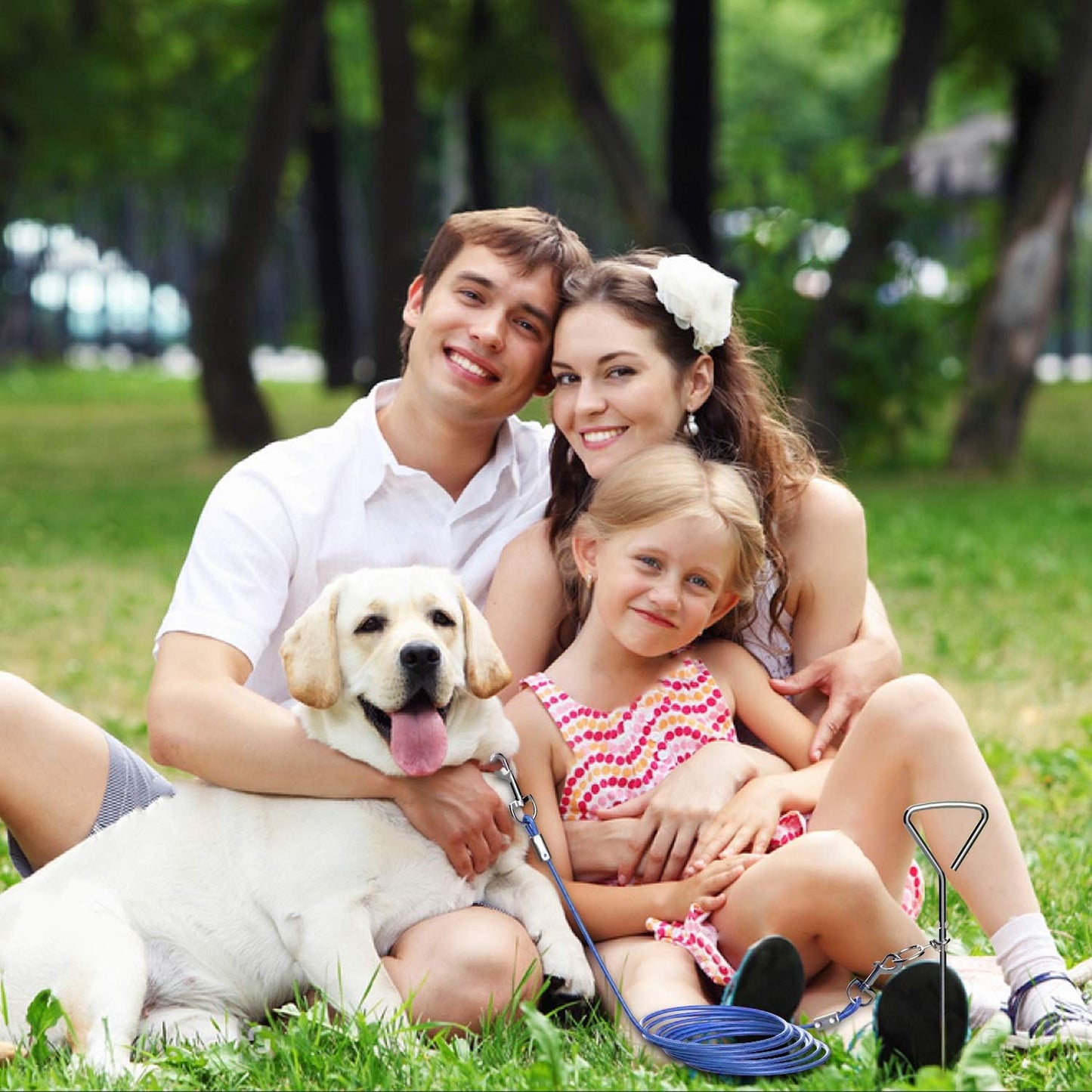 Dog Tie Out Cable and Anti Rust Spiral Stake , 30ft Outside Leash&Chain for Camping and Yard, 16'' Heavy Duty for Medium-Large Dogs Up to 125 lbs (30FT, Blue)