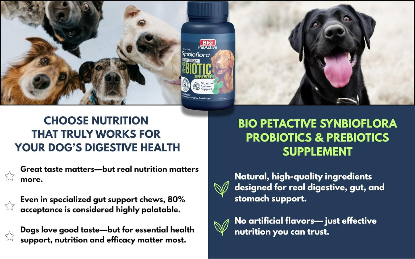 Bio PetActive Synbioflora Digestive Support for Medium and Large Breed Dogs | Probiotics & Prebiotics Supplement | Supports Digestion, Gut & Stomach Health | Helps with Diarrhea and Gas | 60 Chews