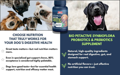 Bio PetActive Synbioflora Digestive Support for Medium and Large Breed Dogs | Probiotics & Prebiotics Supplement | Supports Digestion, Gut & Stomach Health | Helps with Diarrhea and Gas | 60 Chews