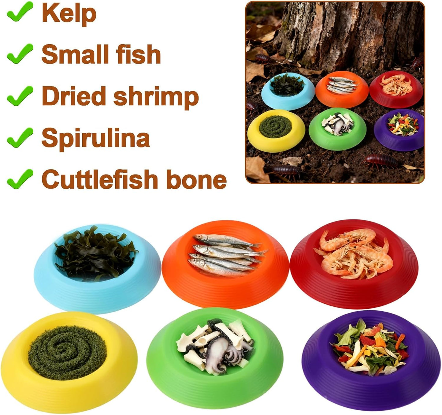 18pcs Reptile Food Dish Bowls, Plastic Colorful Reusable Small Reptile Food Dish Bowls Suitable for Lizard Gecko Frog Pet Tortoise Isopods (6 Colors)
