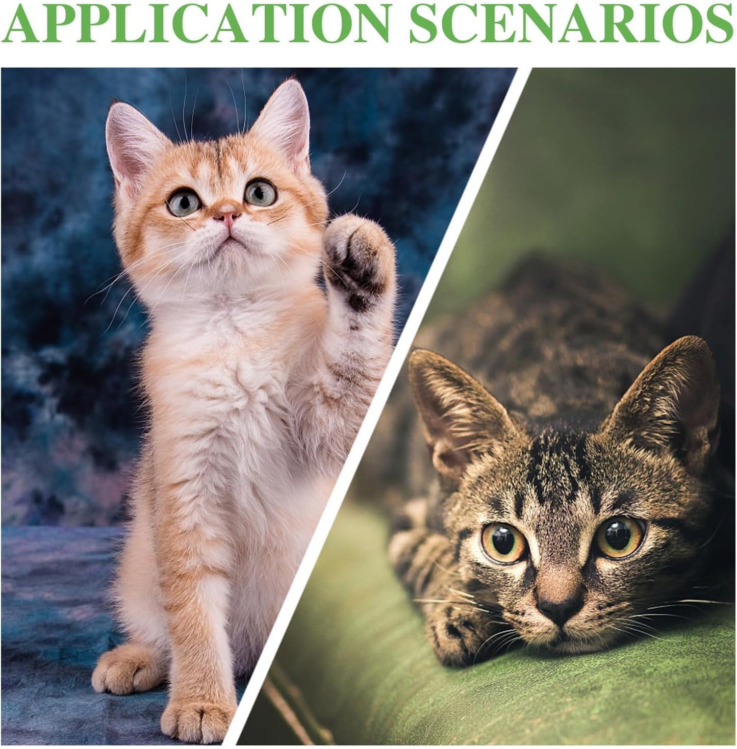 TOYANDONA Pet Collar Bells Loud Copper Dog Training Bell with 30Mm Split Ring for Dogs and Cats DIY Pet Accessories