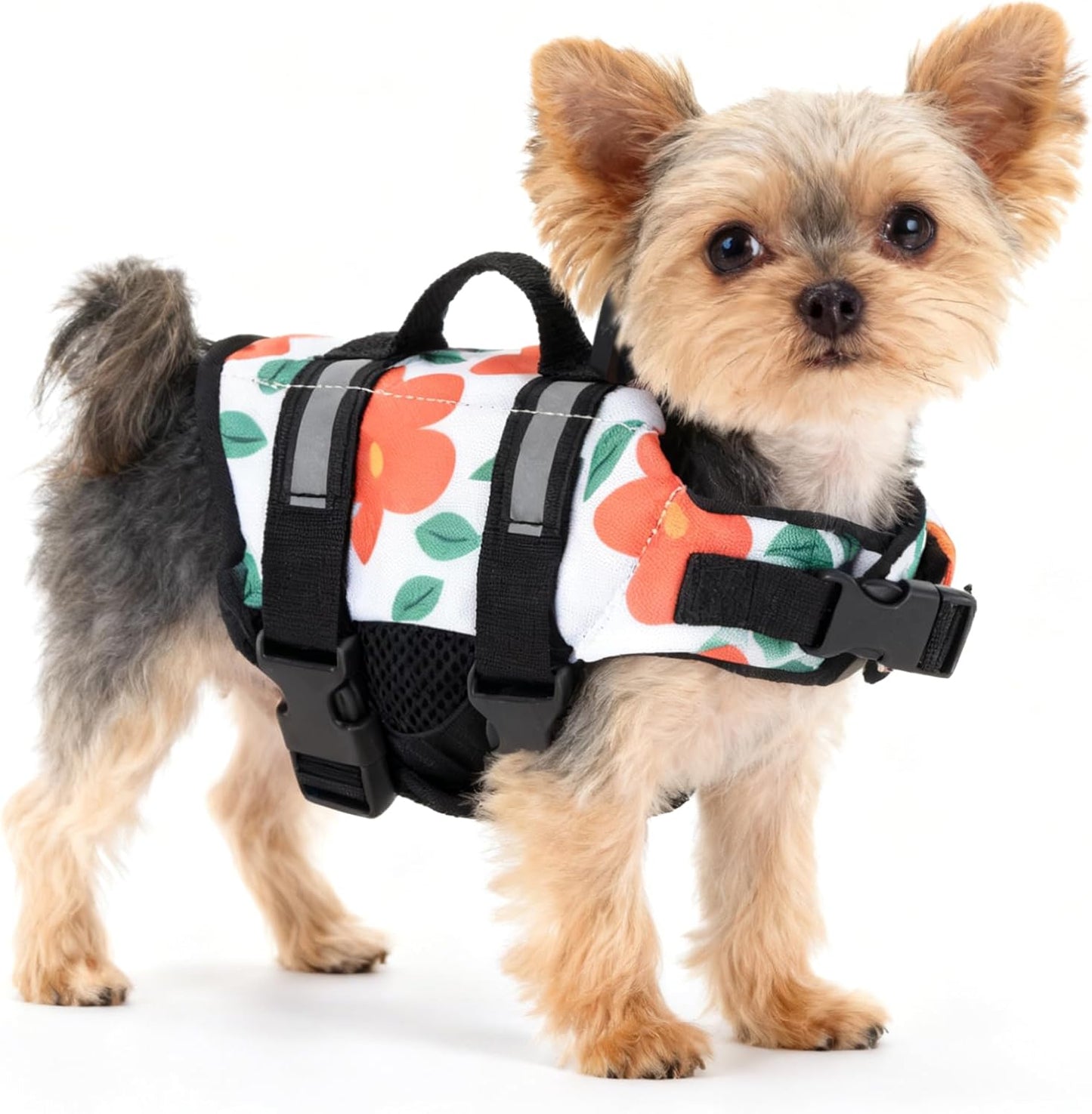 Teacup Dog Life Jacket, XXS Dog Life Jacket, Patterned Surface Elastic Adjustment Puppy Life Jackets for Small Dogs with Safety Pom Buckle, Small Dog & Cat Life Jackets 3-9 Lbs