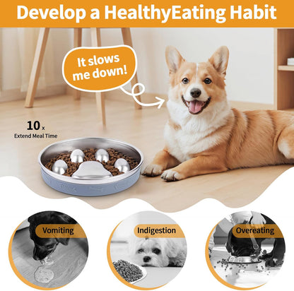 Slow Feeder Dog Bowl - 2-in-1 Stainless Steel Pet Bowl (8.27"x1.57", 33.8oz) with Non-Slip Base - Reversible Paw Design for Small/Medium/Large Dogs - Helps Slow Fast Eating for Dry & Wet Food