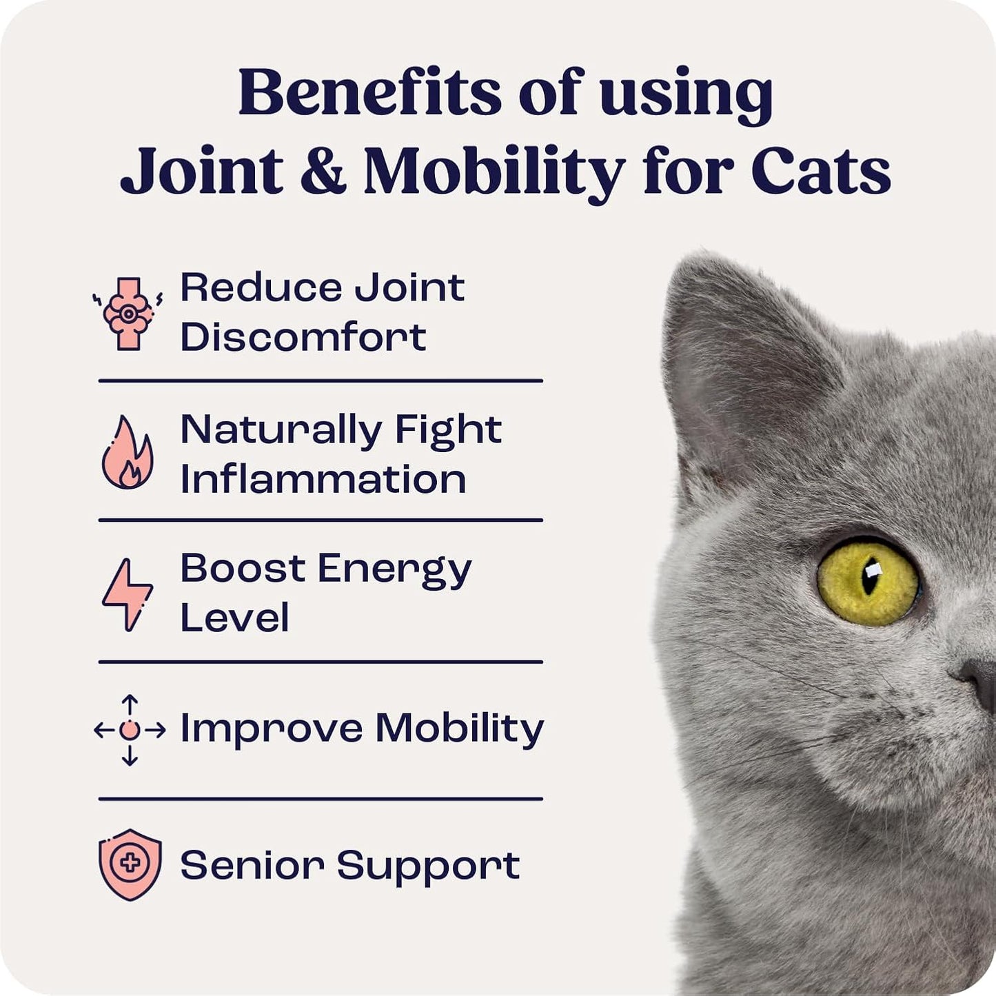Summit Feline Pain Relief Supplement Inflammation Hip & Joint Support Vitamin for Cats - Natural Chrondroitin with Liposomal Delivery for Arthritis - Drug Free - All Ages