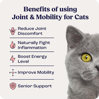 Summit Feline Pain Relief Supplement Inflammation Hip & Joint Support Vitamin for Cats - Natural Chrondroitin with Liposomal Delivery for Arthritis - Drug Free - All Ages