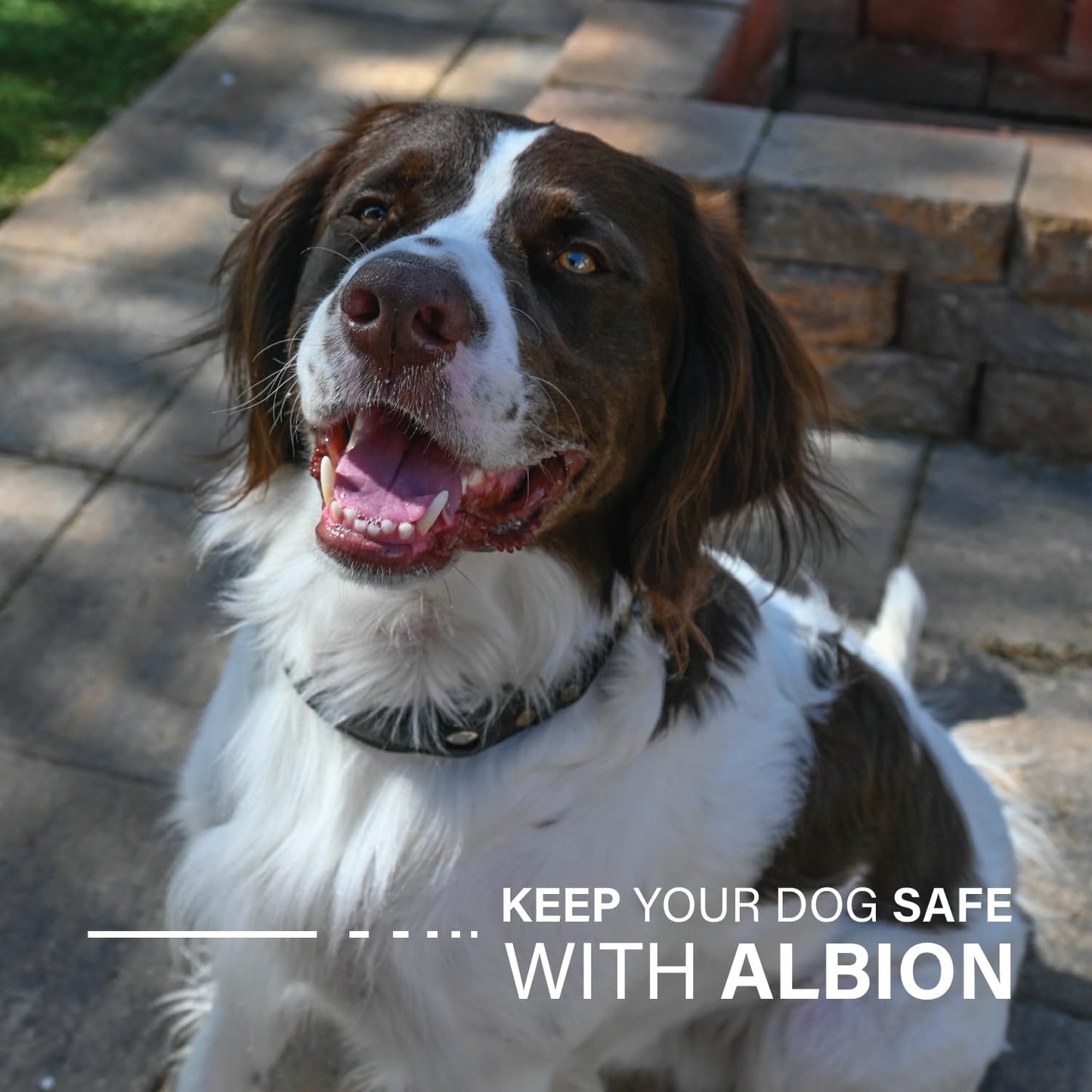 Apple AirTag Leather Dog Collar Smart GPS Collar with AirTag Holder (M, Pine Green)