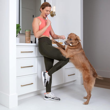 Dog Toothbrush I 4-Pack Two Sided Bamboo Toothbrush for Small and Large Dogs & Cats I Soft Bristles Gentle for Easy Dog Teeth Brushing & Dental Care