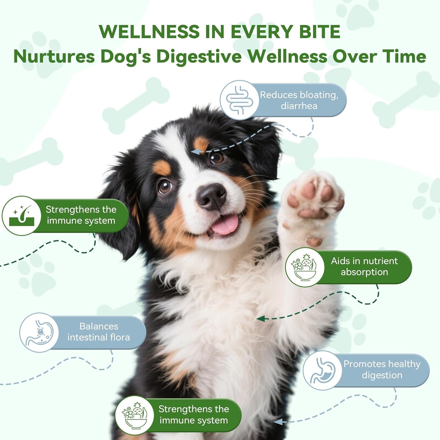 Probiotics for Dogs, Dog Probiotics for Gut Health, Digestive Support, Itchy Skin, Gas & Diarrhea Relief, Dog Probiotic with 6 Billion CFU Prebiotics & Digestive Enzymes, 100 Chews, Chicken Flavor