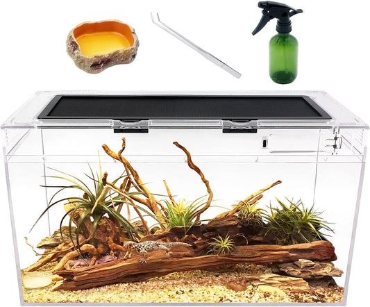 Reptile Terrarium,10 Gallon Reptile Tank 20" x 10"x 11",for Insect，Fish，Tarantula，Hermit Crab，Jumping Spider，Iguana，Tortoise，Leopard Gecko，Bearded Dragon