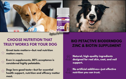 Bio PetActive Dog Zinc and Biotin Supplement Enriched with Omega 3 & Fish Oil | Support Healthy Skin, Coat, Hair and Nail | 500mg Soft Chews Vitamins & Mineral Complex | 75 Tablets