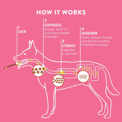 TRURANCH 5" Pork Skin Twists - Collagen Chews for Dogs - Bacon Flavor - Made with Real Pork Skin - Rawhide Alternative - Limited Ingredient - Easy to Digest Treat, 1 Bag, 9 Count