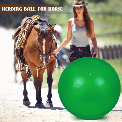 Sotiff 2 Pcs 40 Inch Horse Ball for Play Large Horse Big Equine Herding Anti Burst Dog Ball Soccer Giant, Pump Included(40 Inch,Green, Blue)
