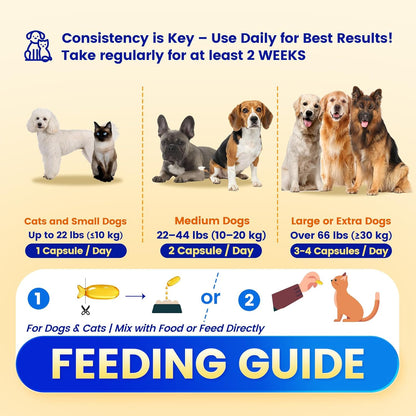 Fish Oil for Dogs & Cats, Omega 3 Fish Oil for Pets | Rich in 97% Omega 3 & 95% EPA+DHA | Made with Peruvian Anchovies, Promotes Healthy Skin, Shiny Coat & Strong Joints, 100 Capsules