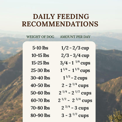 360 Pet Nutrition Freeze-Dried Raw Dog Food – Multi-Protein with Beef, Chicken, Fish, Liver & Organs, High Protein, Omega-3s, Fruits, Veggies & Superfoods, Grain-Free, No Fillers, 1 lb – Made in USA