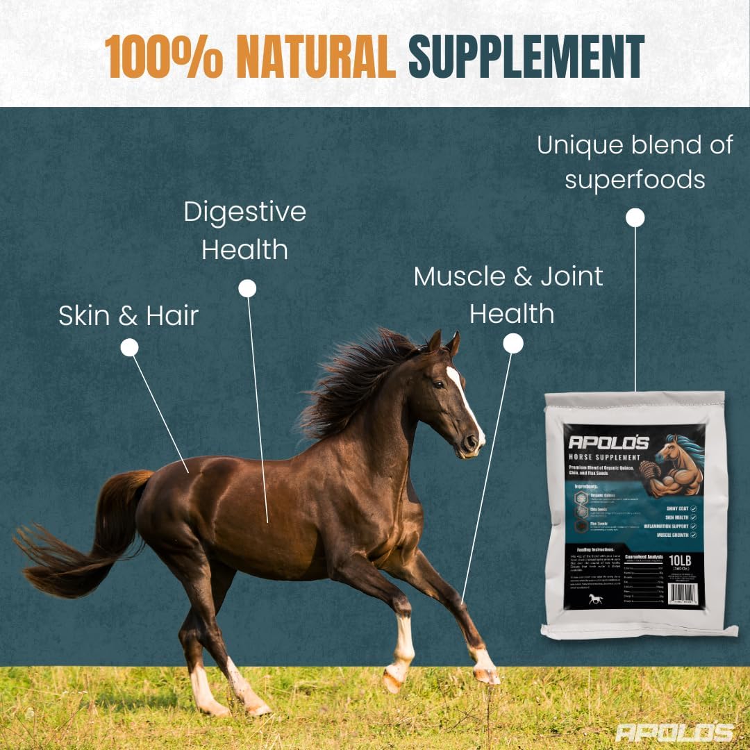 Greenfit APOLO'S 100% Natural Horse Supplement for Daily Feeding – Joint Support, Coat Shine & Strength | Flaxseed, Quinoa, Chia | 10 LB Bag
