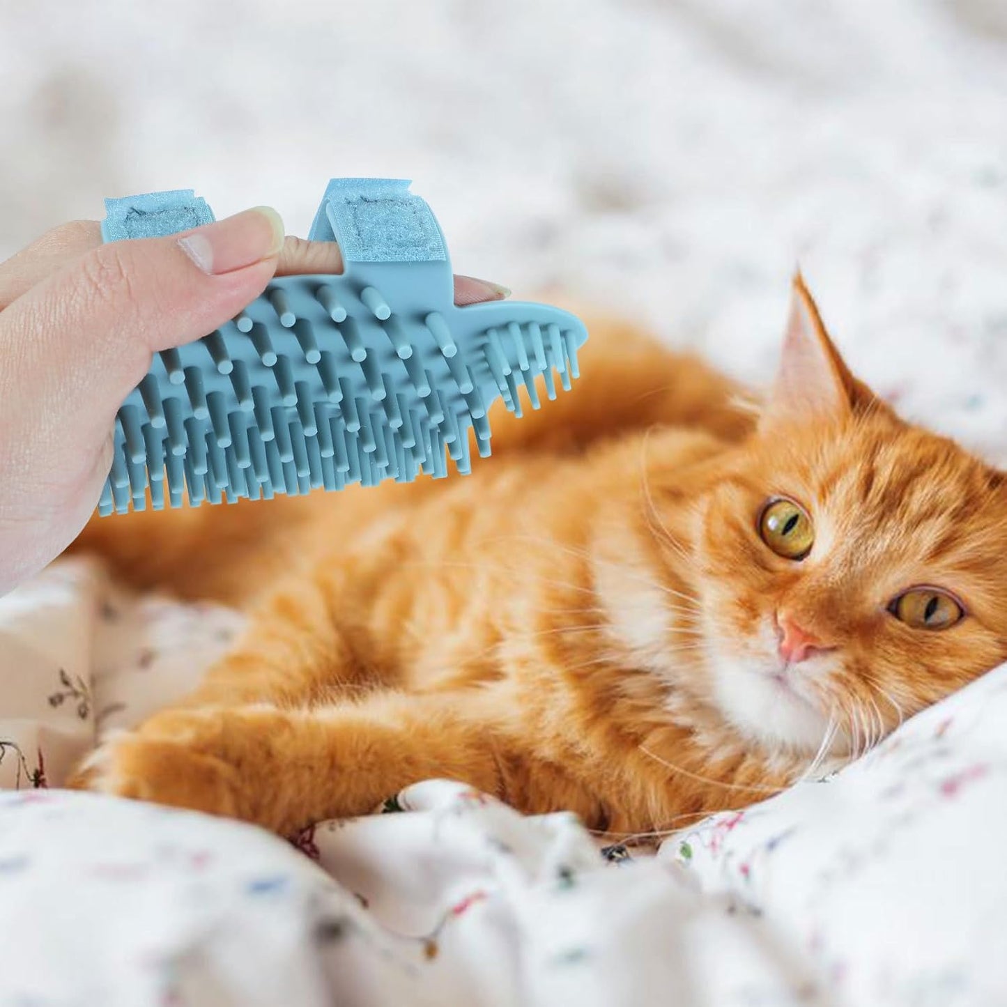 Silicone Cat Massage Comb and Grooming Brush Wall Corner Mounted Soft Pet Massage Tool for Cats Light Green Small Wet and Dry Use Hair Removal