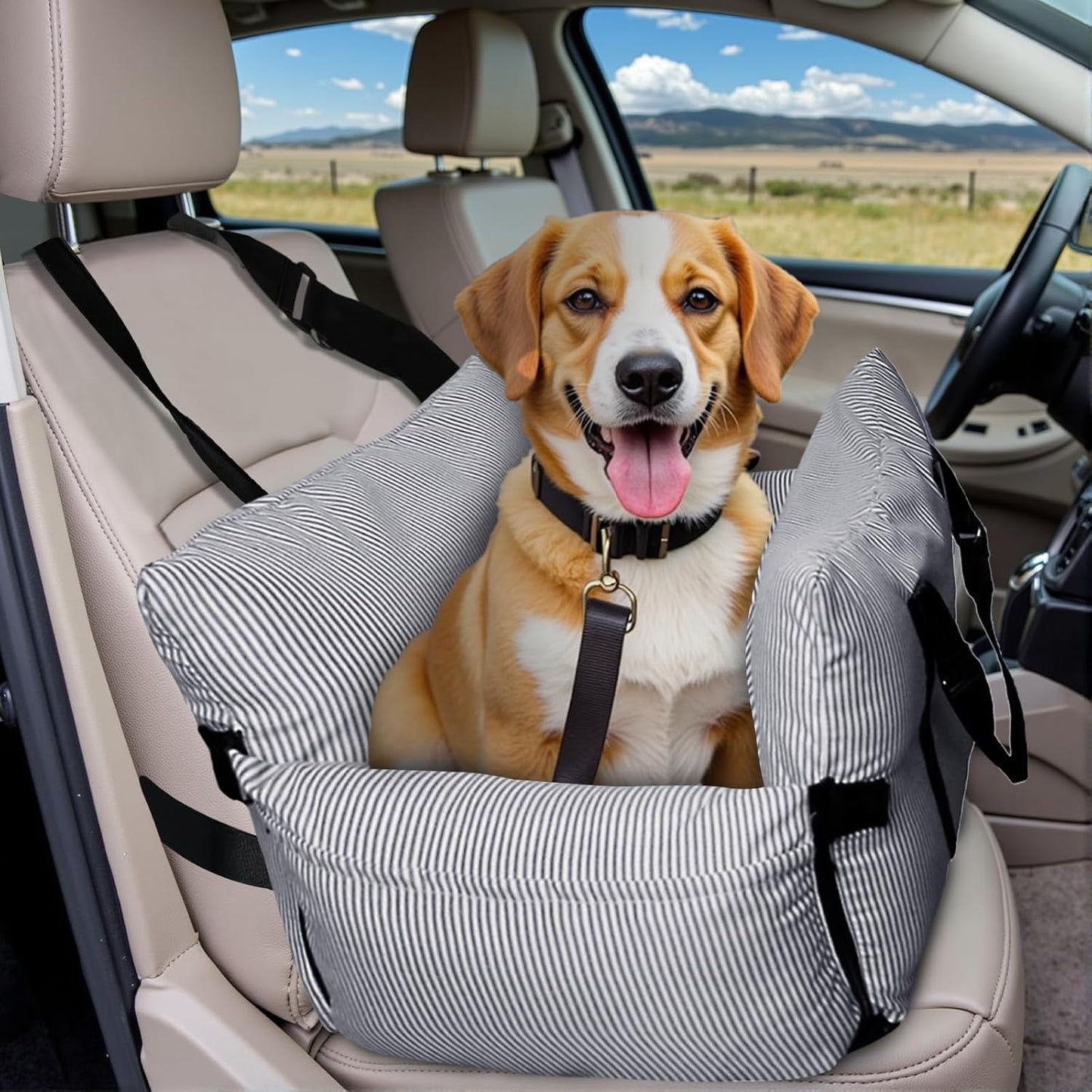 Dog Car Seat for Small/Medium Dogs Under 40 lbs - Elevated Pet Seat with Safety Belt, Non-Slip Base, and Storage Pockets for Car Travel (Navy, 30 x 20.5 inch)