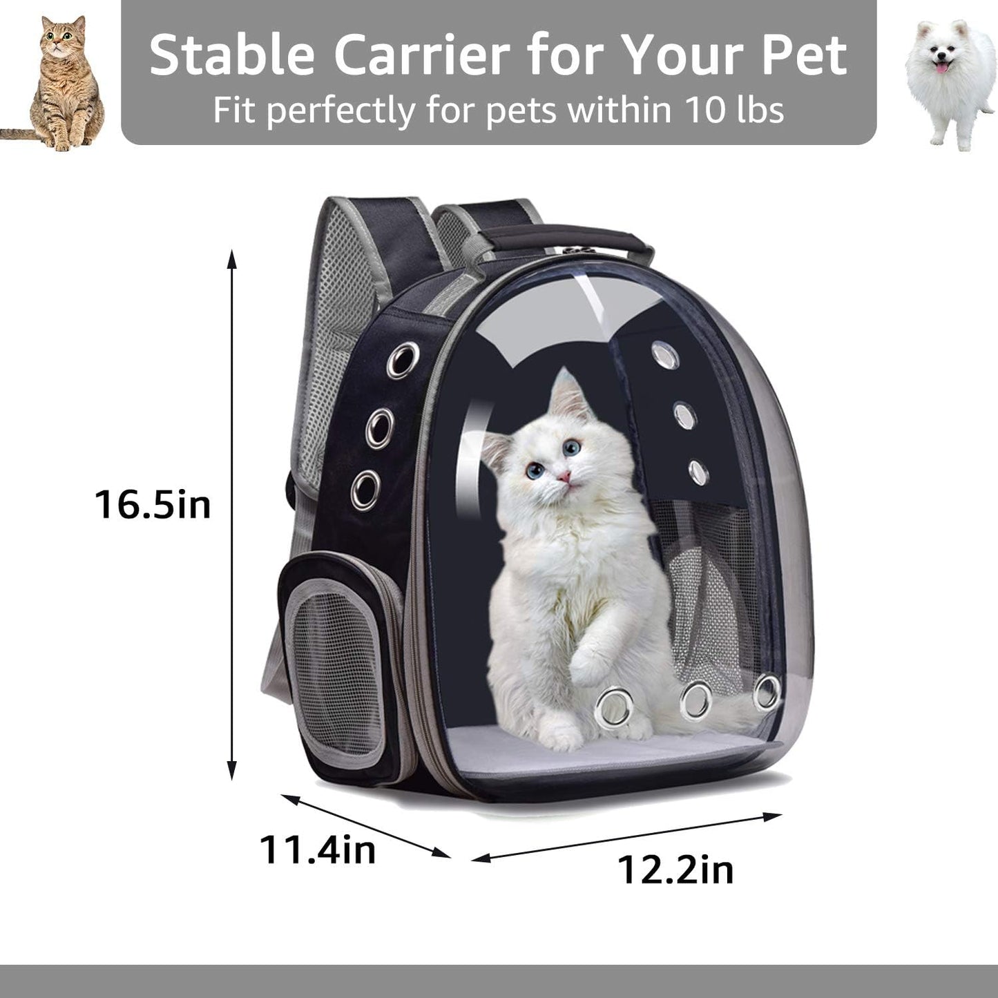 Henkelion Cat, Dog Carrier for Small Medium Cats Puppies up to 15 Lbs, TSA Airline Approved Carrier Soft Sided - Grey, Backpack Carrier/Bubble Carrying Bag Space Capsule for Hiking, Travel - Black