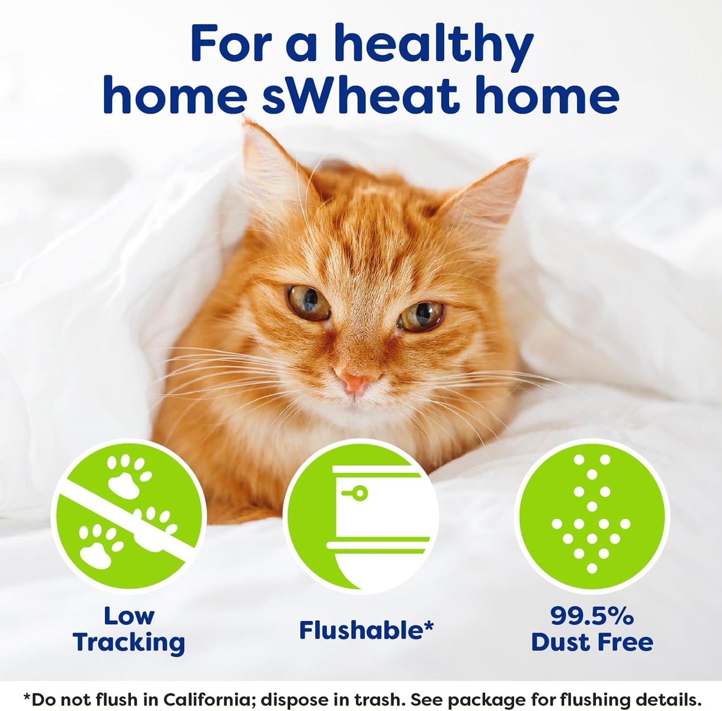 sWheat Scoop Natural Wheat Multi-Cat Litter, Superior Clumping with Odor Neutralizing Enzymes, 25 Pound Bag