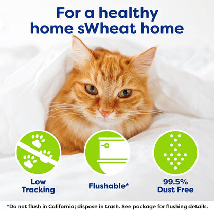 sWheat Scoop Natural Wheat Multi-Cat Litter, Superior Clumping with Odor Neutralizing Enzymes, 25 Pound Bag