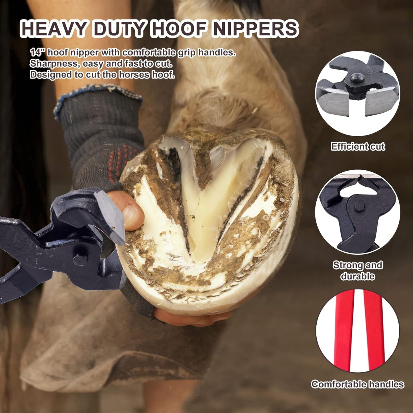 14 inch Horse Farrier Tool Kits - 6Pcs Professional Hoof Trimming Farrier Tools, Can Easily Trim The Hooves of Horses, Cows, Sheep, Donkeys and Other Medium-Sized Animals