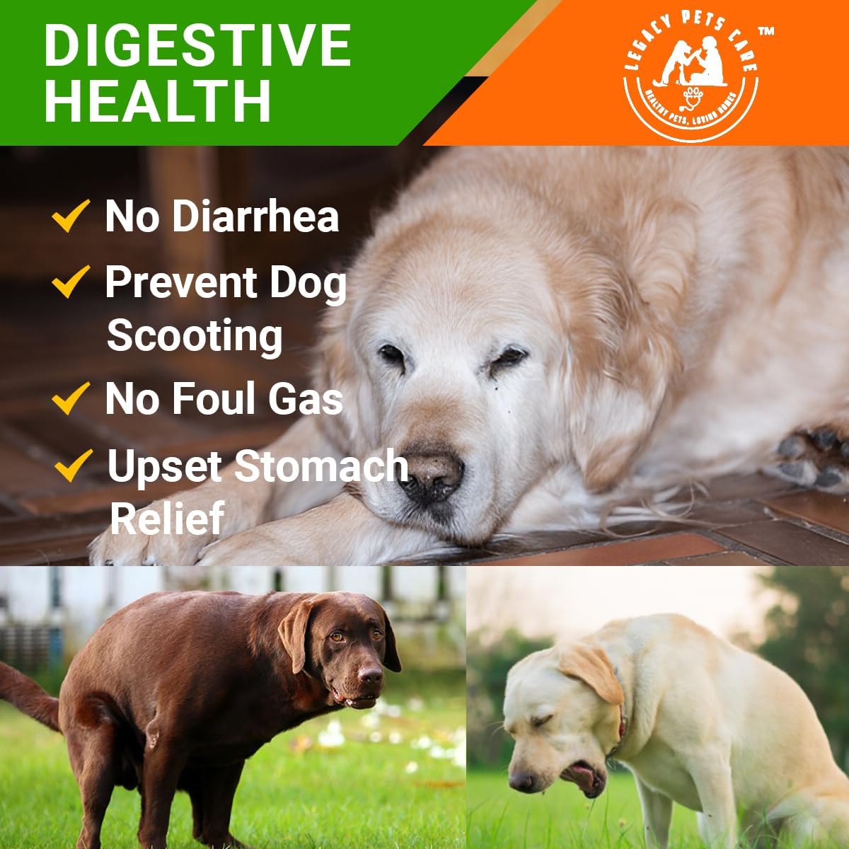 Probiotics for Dogs Soft Chews, 120 Count – Complete Gut Care for Digestive & Immune Support | Probiotics for Digestive Health | Pet Probiotics 9 oz Jar - Probiotic for Dogs