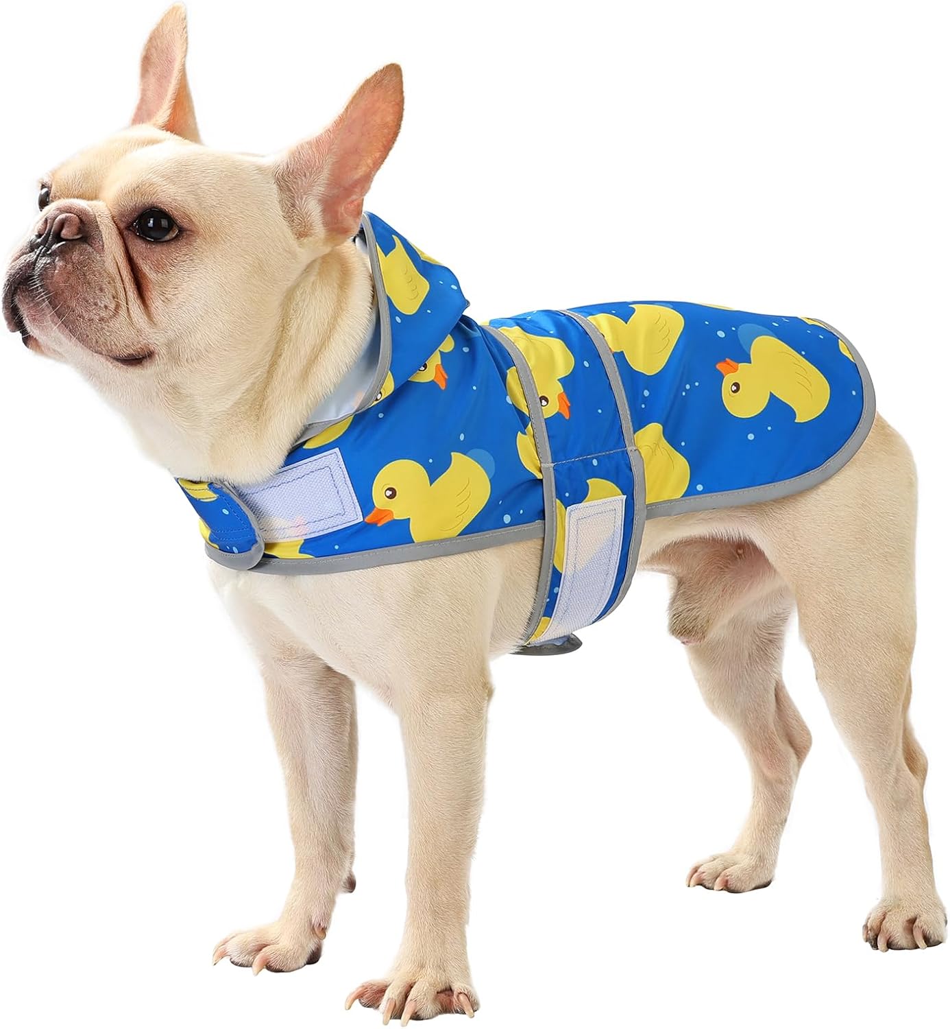 Dog Raincoat Hooded,Waterproof Rain Coat for Dogs with Adjustable Belly Strap,Reflective Strips, Lightweight Slicker Poncho Rain Jacket for Small Medium Large Dogs