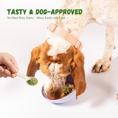 Dog Dental Care Powder - 300g Teeth Cleaning Powder for Dogs with Probiotic, Plaque & Tartar Control with Natural Enzymes, Fresh Breath for Small Medium Large Dogs