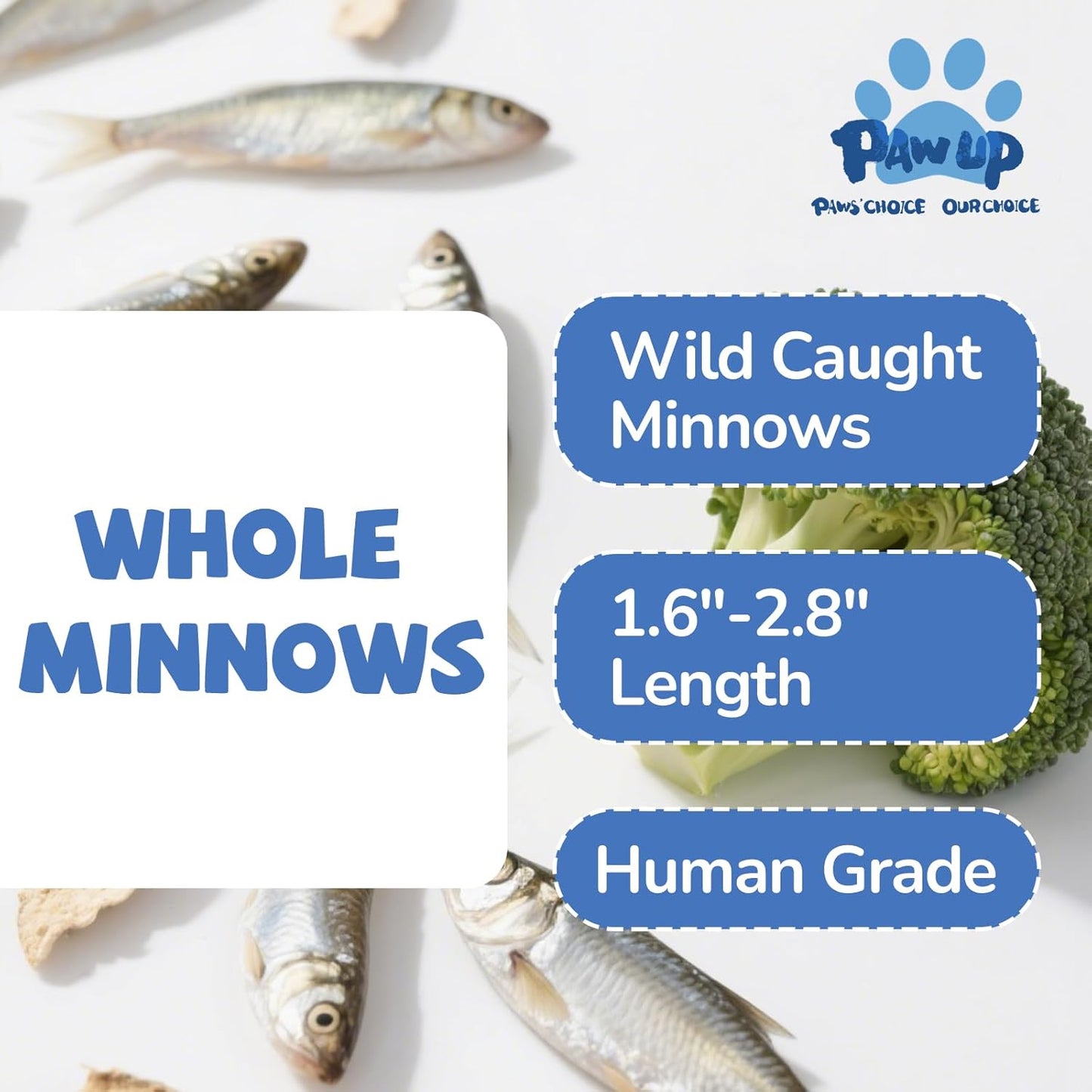 PAWUP Freeze Dried Minnows Dogs Treats – 100% Raw Single-Ingredient Pet Fish Snacks – Rich in Omega-3, Grain-Free – Healthy Training Rewards & Meal Toppers, 2.8 oz