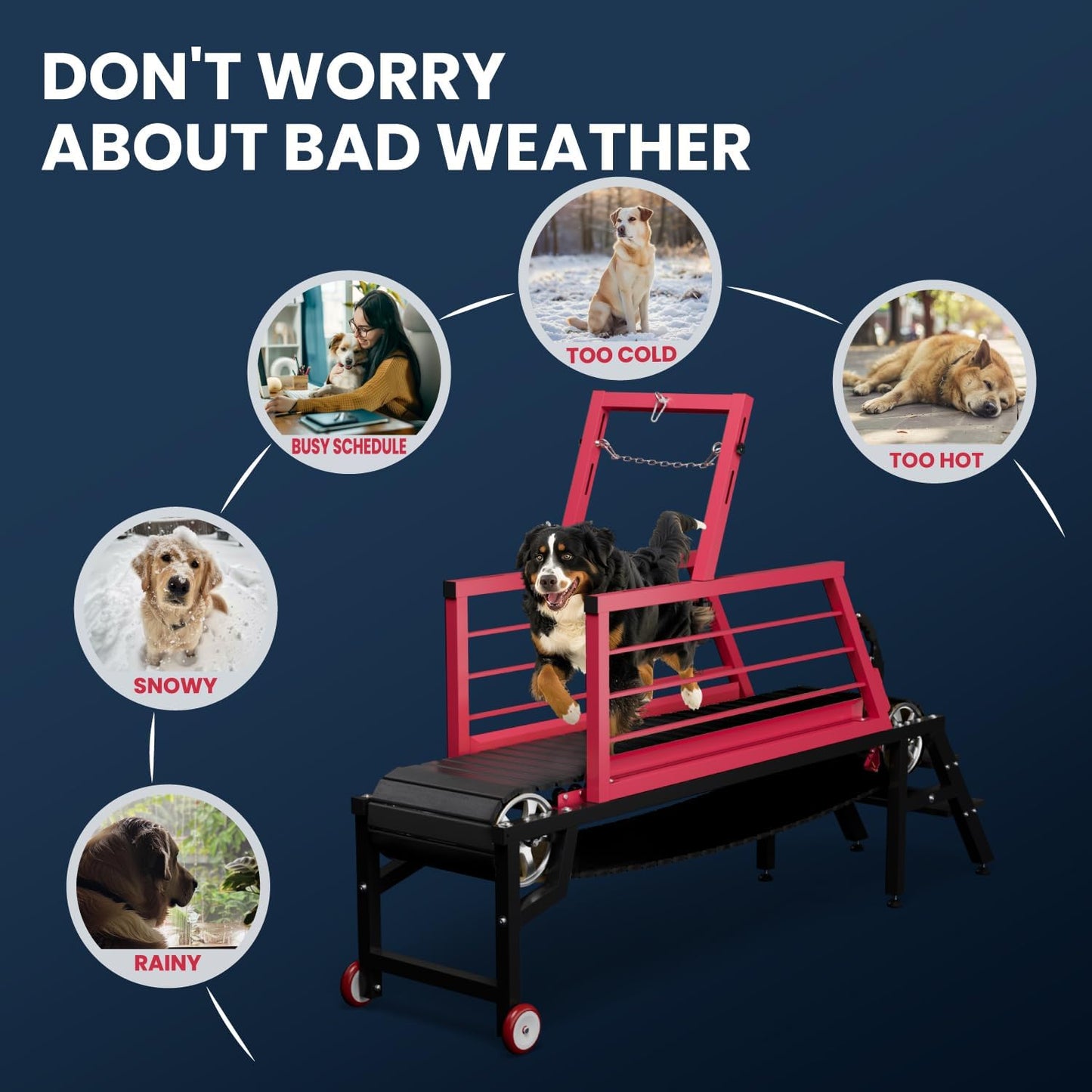 Dog Treadmill for Large Dogs,91" Treadmill for Dogs with Brake,Adjustable Dog Treadmill Slatmill for Dog s Easy to Move Pet Treadmill for Indoor & Outdoor,Training for Dog s, Up to 350LBS