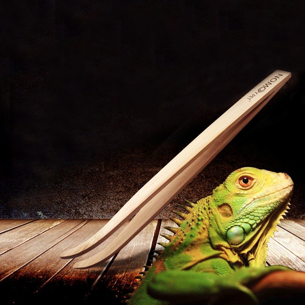 Feeding Tweezers Poop Tools Pet Animal Feeding Supplies for Amphibians Aquariums Amphibians Health Turtle for