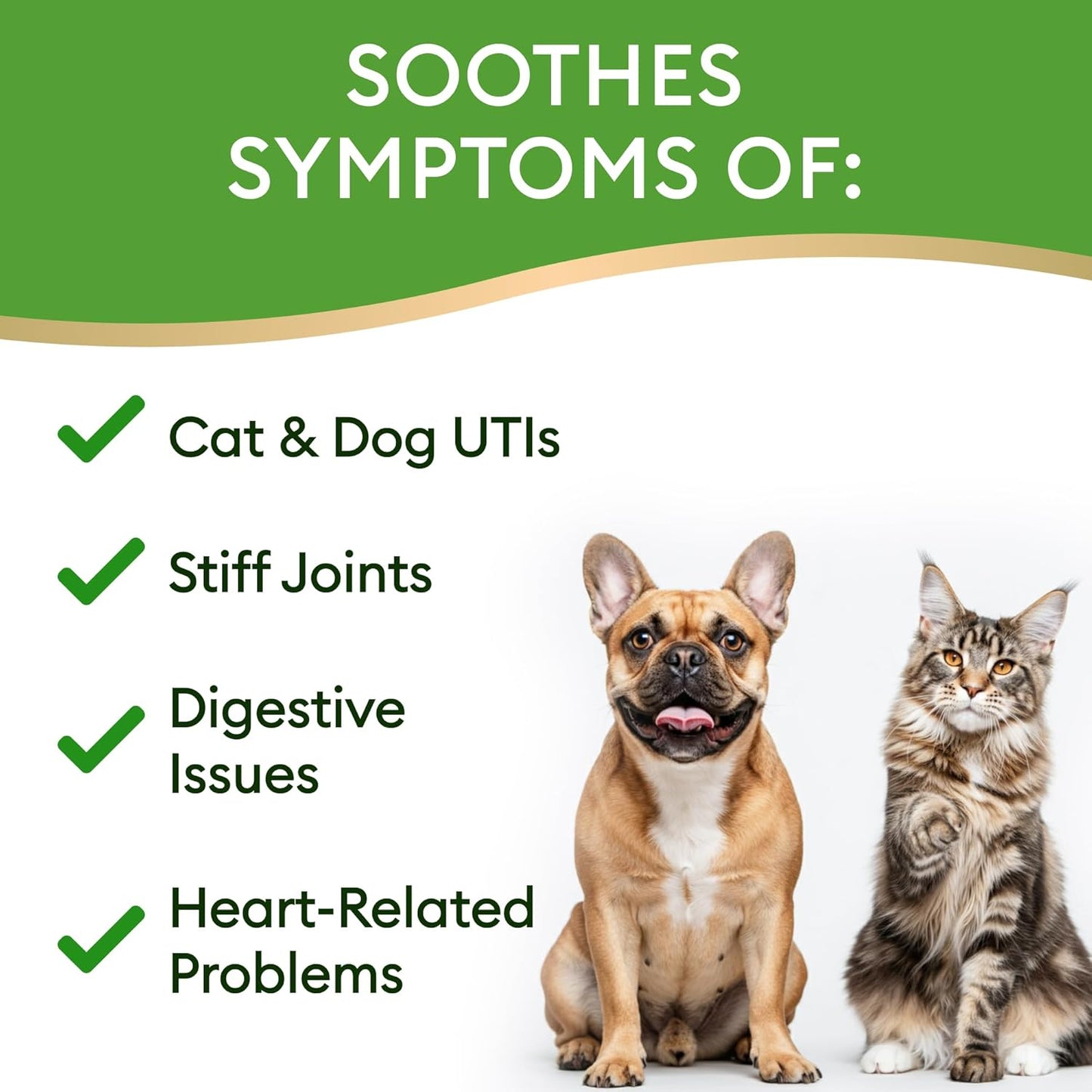 15-in-1 Liquid Multivitamin for Dogs & Cats - Glucosamine for Dogs, Cranberry, Vitamin B Complex - Balanced Ingredients for Joint, Digestive, Immune, Skin & Coat and UTI Support - US Made - 2.0Fl Oz