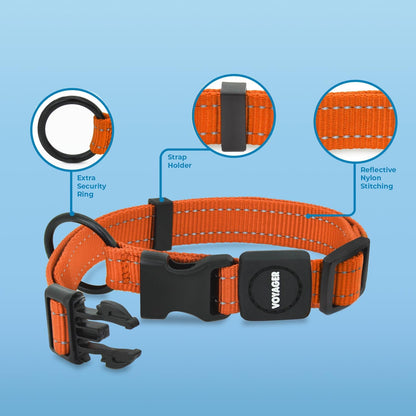 Best Pet Supplies Voyager Reflective Dog Leash or Collar with Neoprene Handle, for Small, Medium, and Large Breed Puppies, Cute and Heavy Duty for Walking, Running and Training - Orange, L