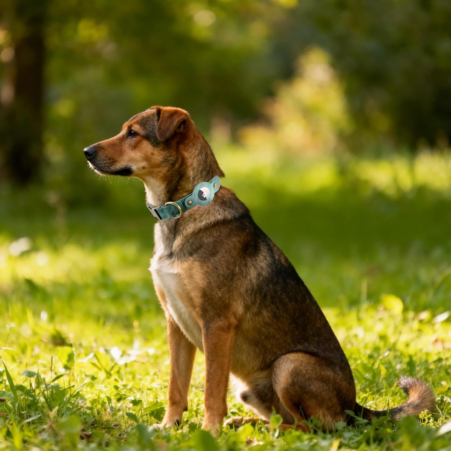 AirTag Dog Collar for Large Dogs - Soft Leather Dog Collar with Apple AirTag Holder and Metal Buckle - Smart Tracker GPS Apple Air Tag Pet Collars (Green, L)