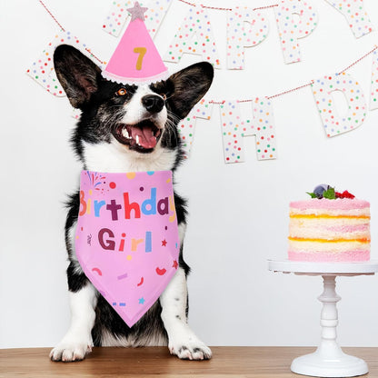 Dog Birthday Decorations, Birthday Dog Bandana Hat with Numbers Dogs Birthday Party Supplies for Small Medium Large Dogs