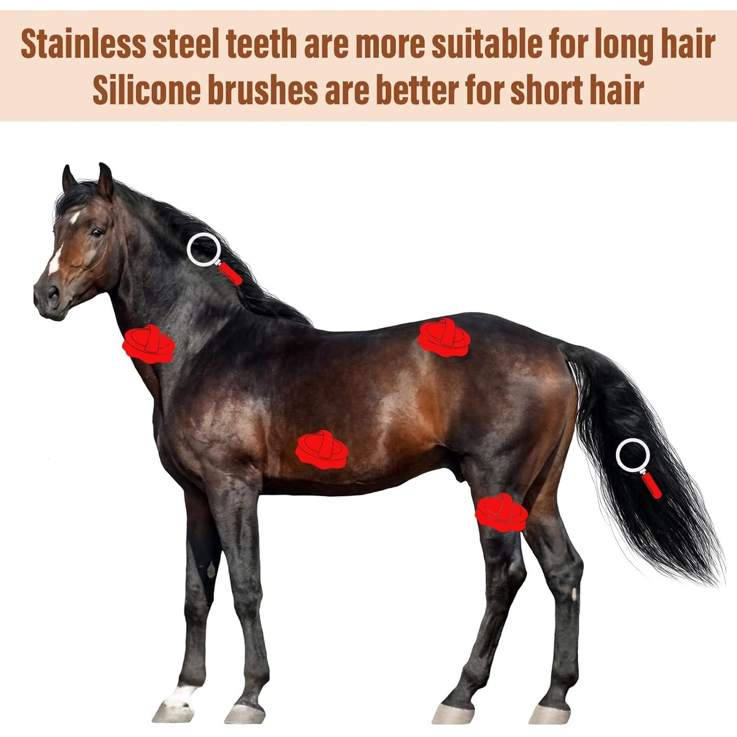 Reversible Stainless Steel Curry Comb with Large Rubber Brush for Grooming Horses, Dogs, Goats, Cattle, Cow, Donkey Supplies