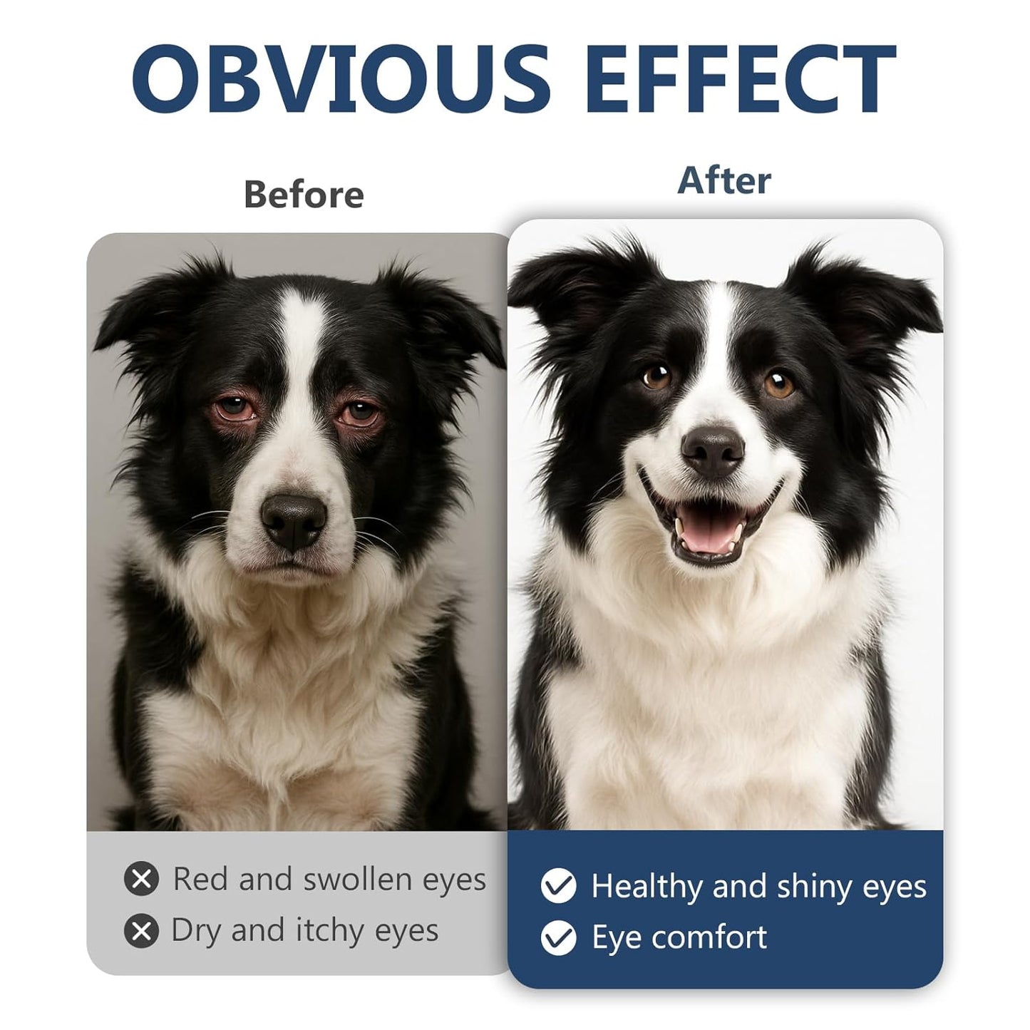 Cataract Drops for Dogs,Pet Gel Eye Drops for Dogs,Long Lasting Hydration, for Dry Eyes, Allergy Symptoms (2x10mL)