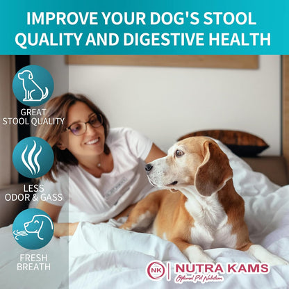 Probiotic Chews for Dogs, Natural Gut Health Support, 120 Soft Chews, Lamb Flavor, 300g